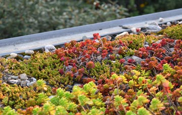 the cost of Milton green roof installation