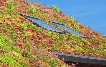 Milton living roof systems