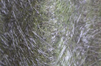 Milton fibreglass roof work